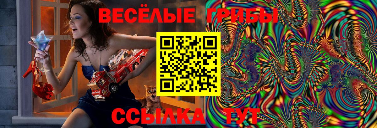 Псилоцибиновые грибы Psilocybine cubensis  Вход с VPN  Самара 